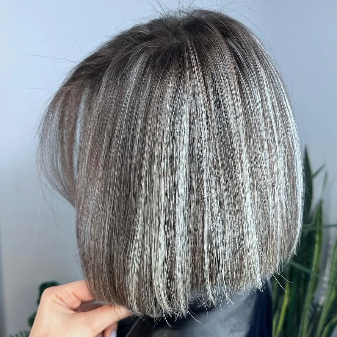 نمونه کار 3