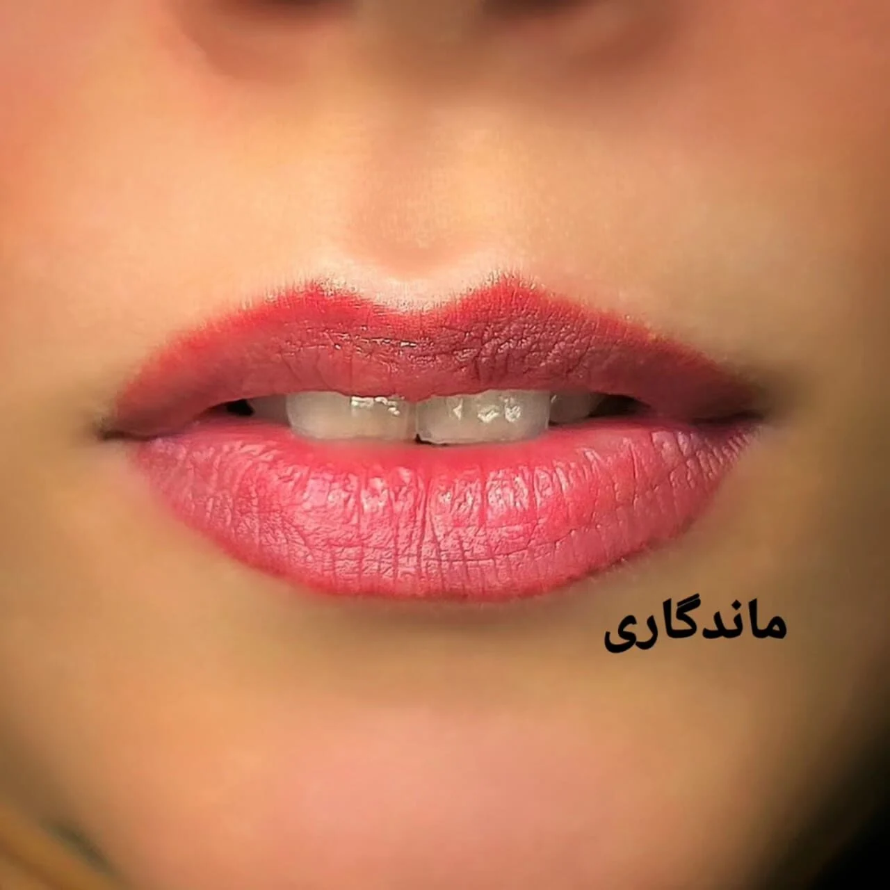 نمونه کار 5