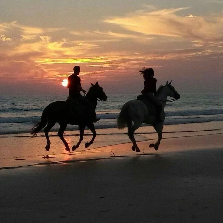 گشت طبیعت گردی با اسب